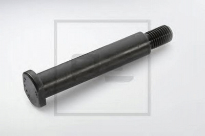 PE AUTOMOTIVE 01325500a -  Болт крепления, стабилизатор